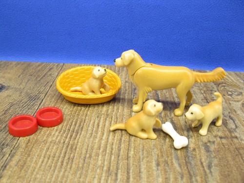 Golden retriever welpen - golden,