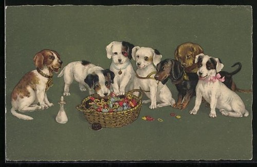 Sieben hundewelpen und ein - sieben,