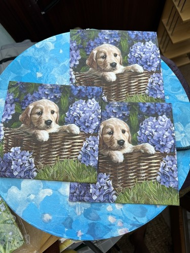 Labrador welpe korb - welpe,