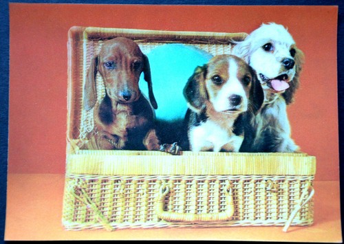 49203 201 tree dogs - 49203,