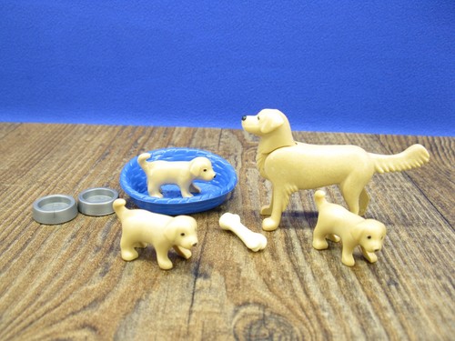 Golden retriever welpen - retriever,