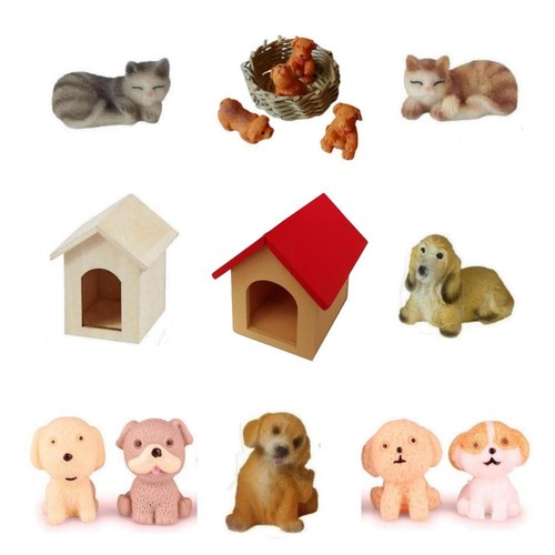 Miniatur katzen hunde welpen - miniatur,