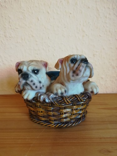Spardose hundewelpen - hundewelpen,