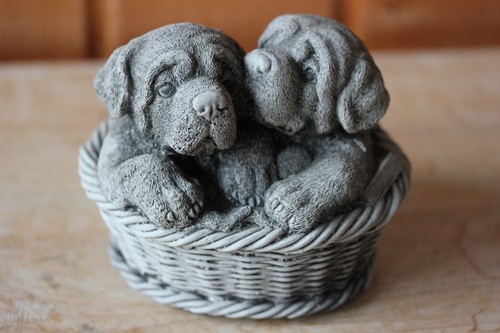 Hunde - 2,