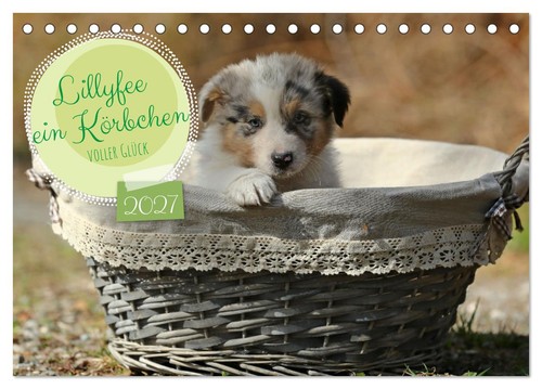 Lillyfee und ein körbchen - lillyfee,