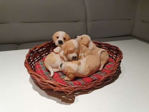 Hundewelpen mit körbchen - hundewelpen,